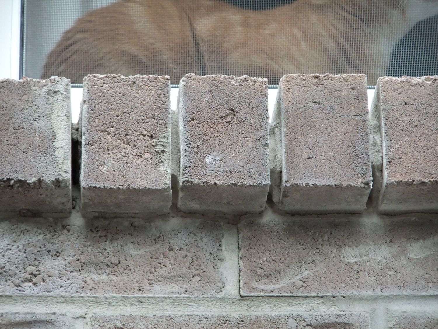 Mortar joint repair Ottawa