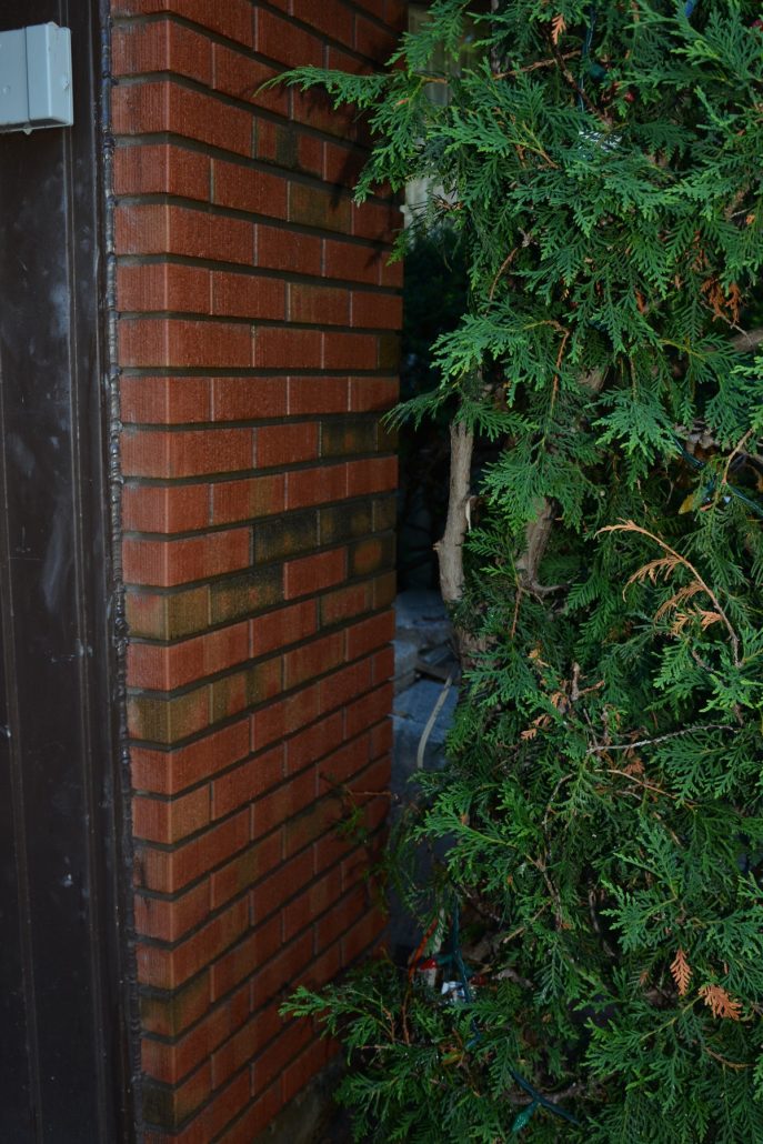 Spalling brick repair Ottawa - project 53